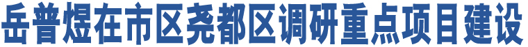 岳普煜在市區(qū)堯都區(qū)調(diào)研重點(diǎn)項(xiàng)目建設(shè)