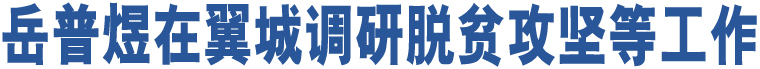 岳普煜在翼城調(diào)研脫貧攻堅等工作