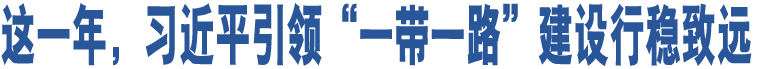 這一年，習(xí)近平引領(lǐng)“一帶一路”建設(shè)行穩(wěn)致遠