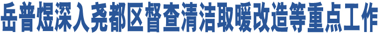 岳普煜深入堯都區(qū)督查清潔取暖改造等重點工作 