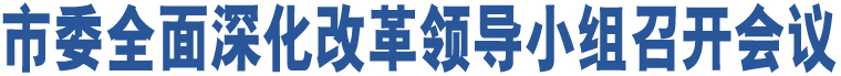 市委全面深化改革領(lǐng)導(dǎo)小組召開會議