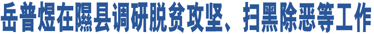 岳普煜在隰縣調(diào)研脫貧攻堅(jiān)、掃黑除惡等工作