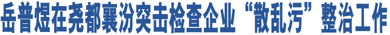 岳普煜在堯都襄汾突擊檢查企業(yè)“散亂污”整治工作