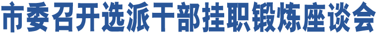 市委召開(kāi)選派干部掛職鍛煉座談會(huì)