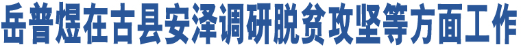 岳普煜在古縣安澤調(diào)研脫貧攻堅等方面工作