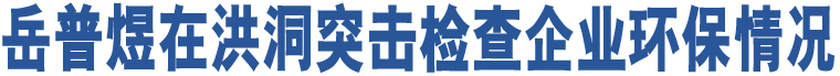 岳普煜在洪洞突擊檢查企業(yè)環(huán)保情況