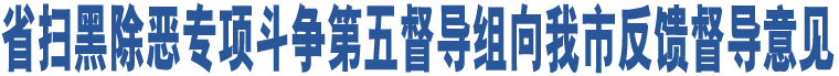 省掃黑除惡專項斗爭第五督導組向我市反饋督導意見