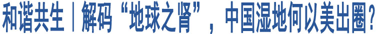 和諧共生｜解碼“地球之腎”，中國(guó)濕地何以美出圈？