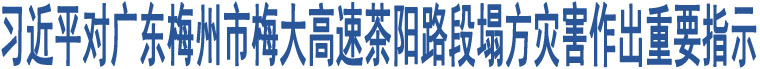 習近平對廣東梅州市梅大高速茶陽路段塌方災害作出重要指示