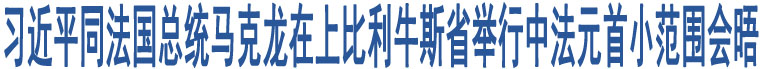 習(xí)近平同法國(guó)總統(tǒng)馬克龍?jiān)谏媳壤Ｋ故∨e行中法元首小范圍會(huì)晤