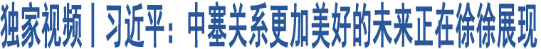 獨(dú)家視頻丨習(xí)近平：中塞關(guān)系更加美好的未來(lái)正在徐徐展現(xiàn)