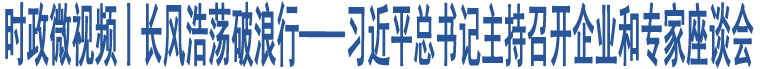 時(shí)政微視頻丨長風(fēng)浩蕩破浪行——習(xí)近平總書記主持召開企業(yè)和專家座談會(huì)