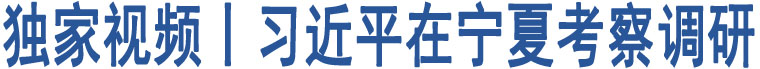 獨(dú)家視頻丨習(xí)近平在寧夏考察調(diào)研