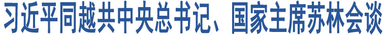 習近平同越共中央總書記、國家主席蘇林會談