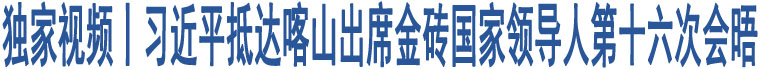 獨家視頻丨習(xí)近平抵達喀山出席金磚國家領(lǐng)導(dǎo)人第十六次會晤