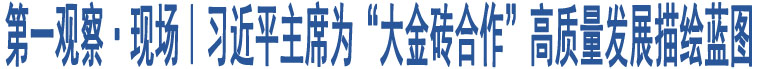 第一觀察·現(xiàn)場｜習(xí)近平主席為“大金磚合作”高質(zhì)量發(fā)展描繪藍(lán)圖