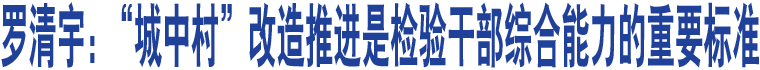 羅清宇：“城中村”改造推進(jìn)是檢驗(yàn)干部綜合能力的重要標(biāo)準(zhǔn)