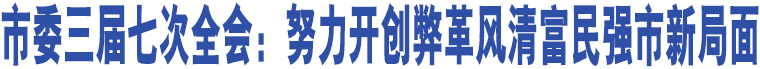 市委三屆七次全會(huì)：努力開創(chuàng)弊革風(fēng)清富民強(qiáng)市新局面