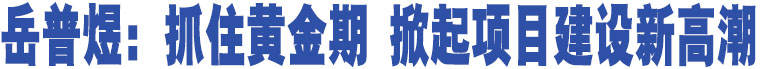 岳普煜：抓住黃金期 掀起項目建設(shè)新高潮