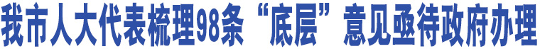 我市人大代表梳理98條“底層”意見亟待政府辦理