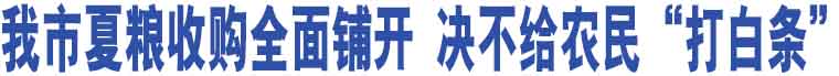 我市夏糧收購全面鋪開 決不給農民“打白條”