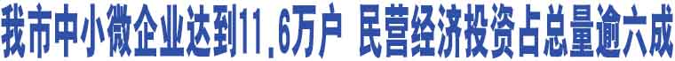 我市中小微企業(yè)達(dá)到11.6萬戶 民營(yíng)經(jīng)濟(jì)投資占總量逾六成