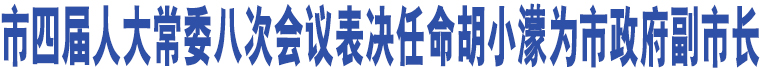 市四屆人大常委八次會(huì)議表決任命胡小濛為市政府副市長(zhǎng)