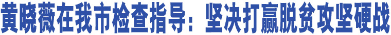 黃曉薇在我市檢查指導(dǎo)：堅(jiān)決打贏脫貧攻堅(jiān)硬戰(zhàn)