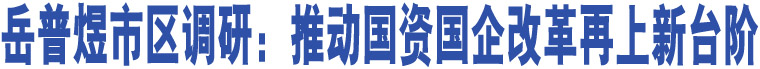 岳普煜市區(qū)調(diào)研：推動國資國企改革再上新臺階