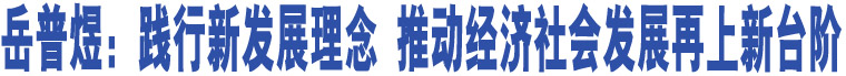 岳普煜：踐行新發(fā)展理念 推動經(jīng)濟社會發(fā)展再上新臺階