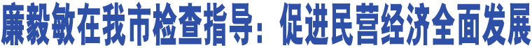 廉毅敏在我市檢查指導(dǎo)：促進(jìn)民營經(jīng)濟(jì)全面發(fā)展