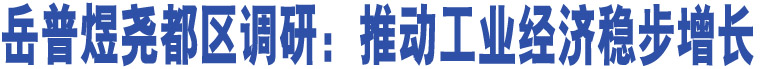 岳普煜堯都區(qū)調(diào)研：推動工業(yè)經(jīng)濟(jì)穩(wěn)步增長