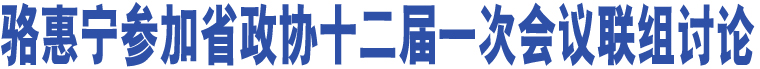 駱惠寧參加省政協(xié)十二屆一次會(huì)議聯(lián)組討論